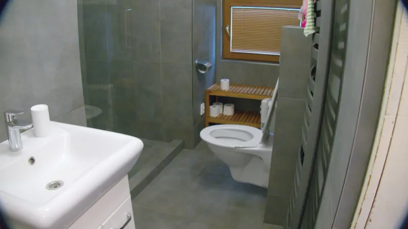 Velký apartmán - WC